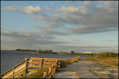 Carpet Repair Apollo Beach Area