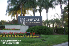 Carpet Repair Cheval Area Tampa