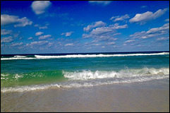 Carpet Repair Clearwater Area