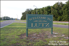 Carpet Repair Lutz Area