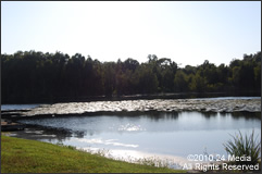 Carpet Repair Odessa Area