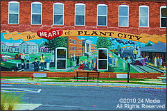 Carpet Repair Plant City Area