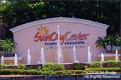 Carpet Repair Sun City Area