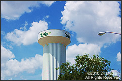 Carpet Repair Temple Terrace Area