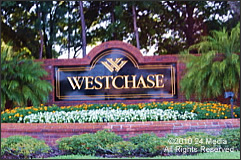 Carpet Repair West Chase Area